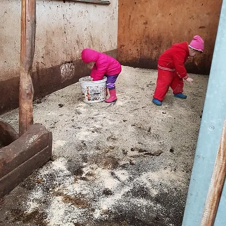 Фермерский дом Haus Hochzeigerblick *