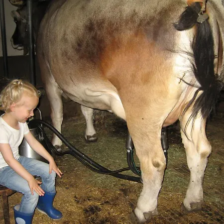 Haus Hochzeigerblick Фермерский дом *