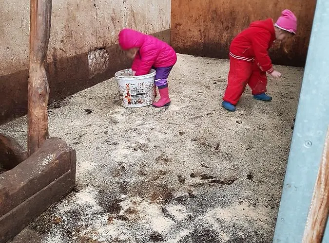 农家乐 Haus Hochzeigerblick *