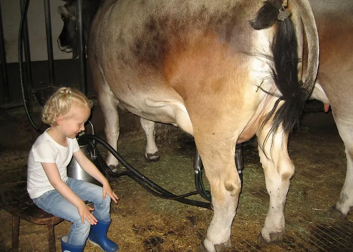 Haus Hochzeigerblick 农家乐 *
